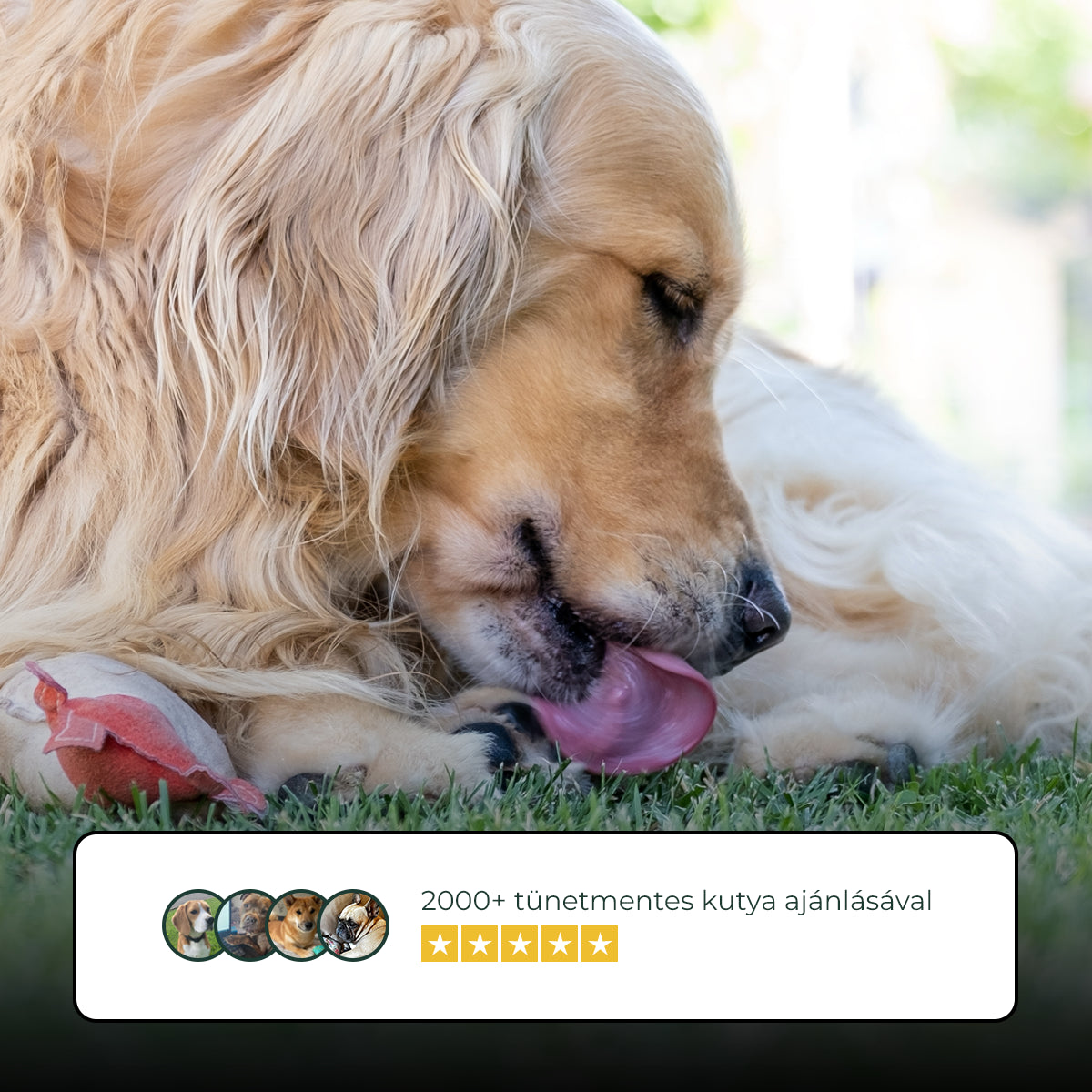 01_hero_banner.webp