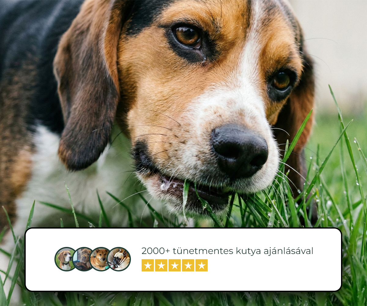 01_hero_banner_1.webp