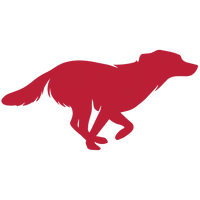 Batrabb_ugras_batrabb_futas.webp