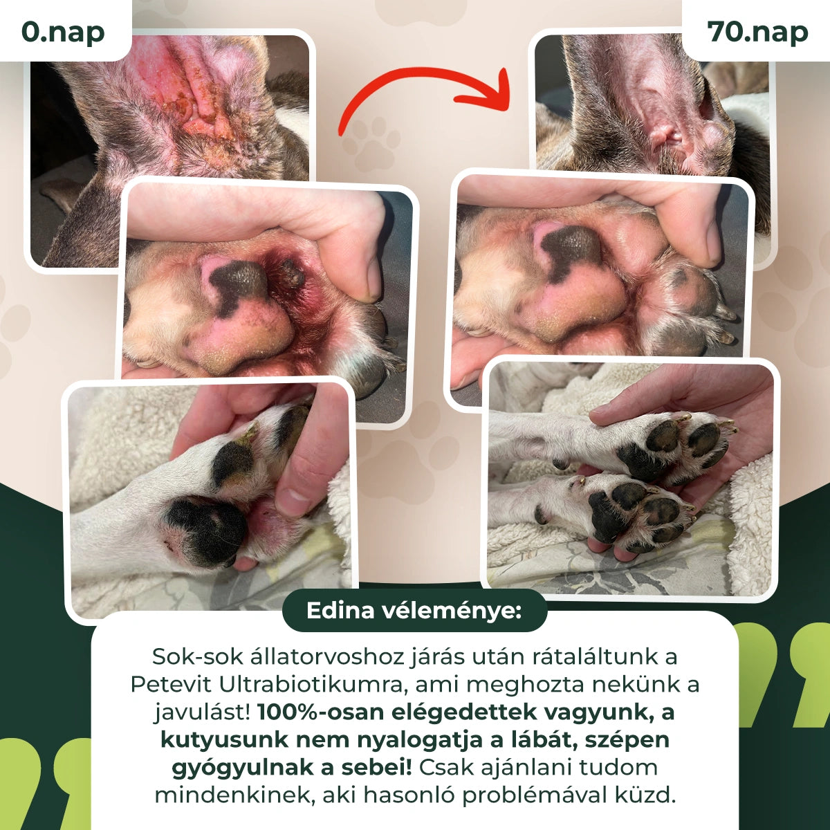Ultrabiotikum