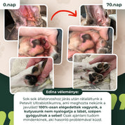 Ultrabiotikum
