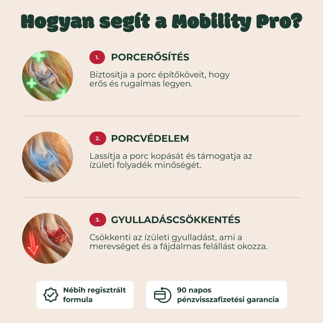 Mobility Pro