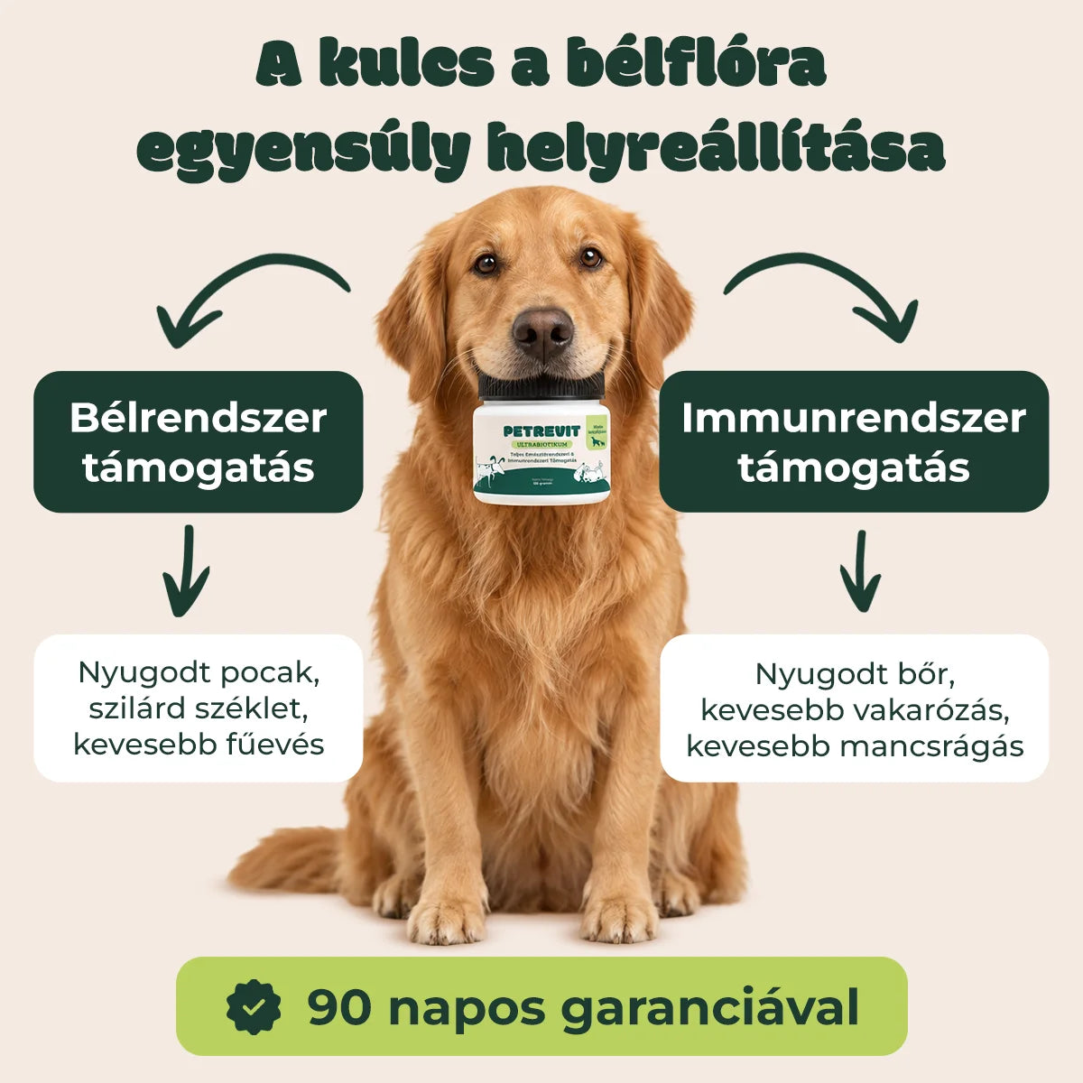 Ultrabiotikum