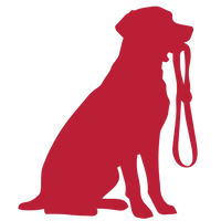 Megint_o_kezdemenyezi_a_setat.webp
