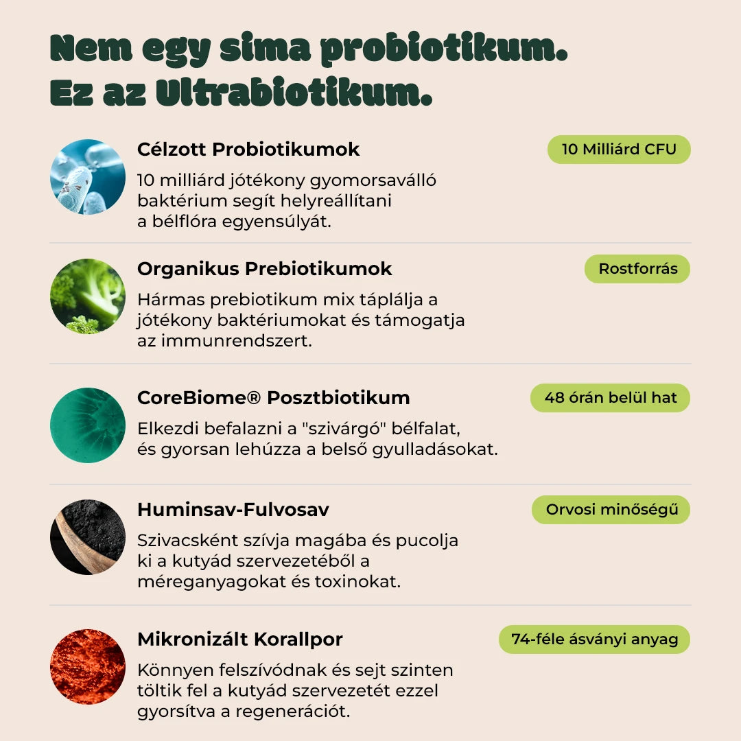 Ultrabiotikum Kutyáknak