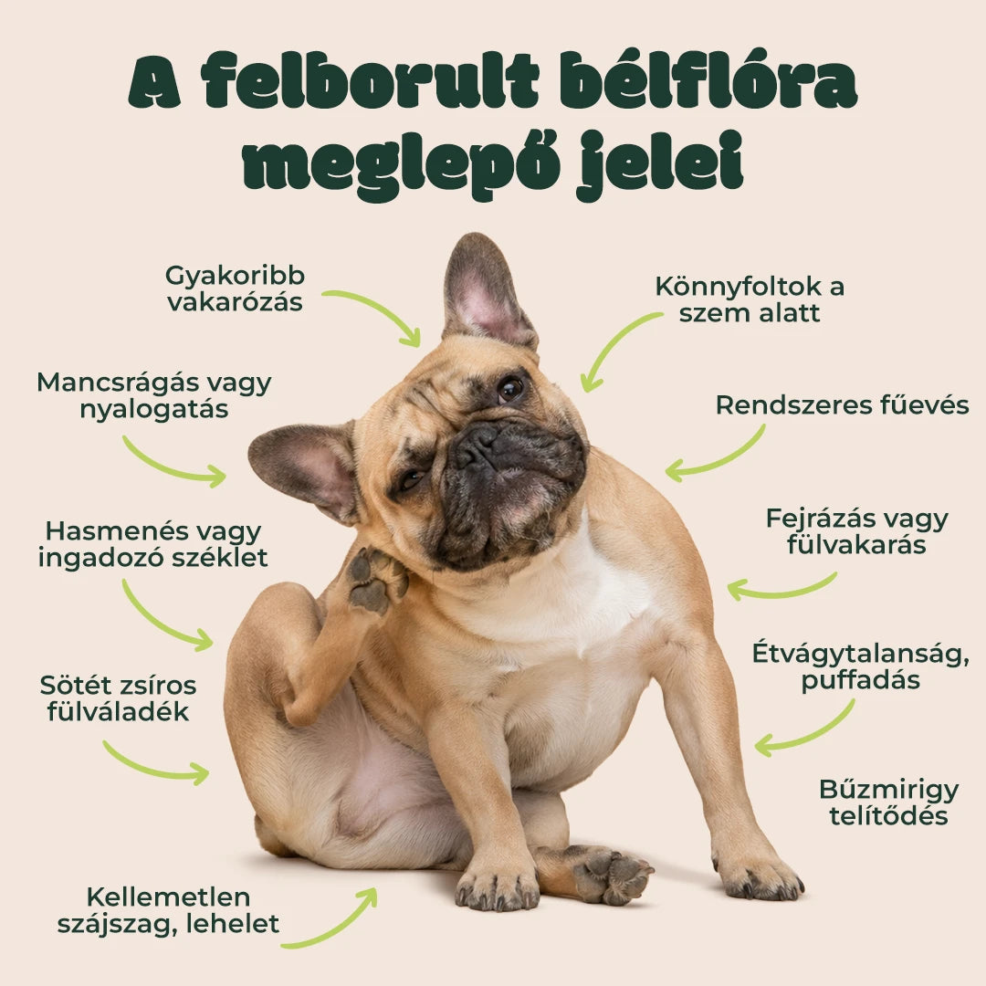 Ultrabiotikum