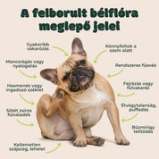 Ultrabiotikum