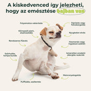 Ultrabiotik Komplex (10-20kg)