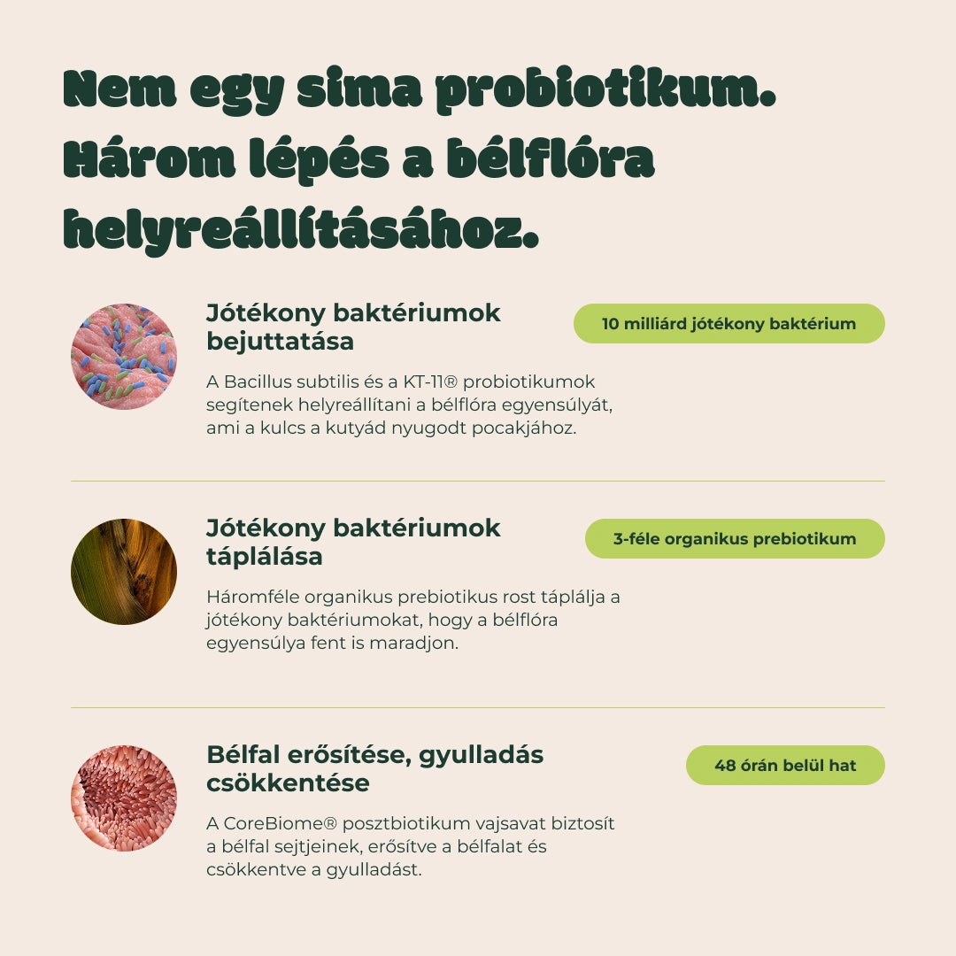 Ultrabiotikum