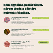 Ultrabiotikum