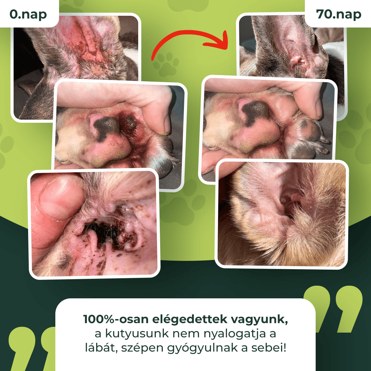 Ultrabiotikum