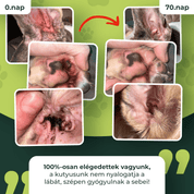 Ultrabiotikum