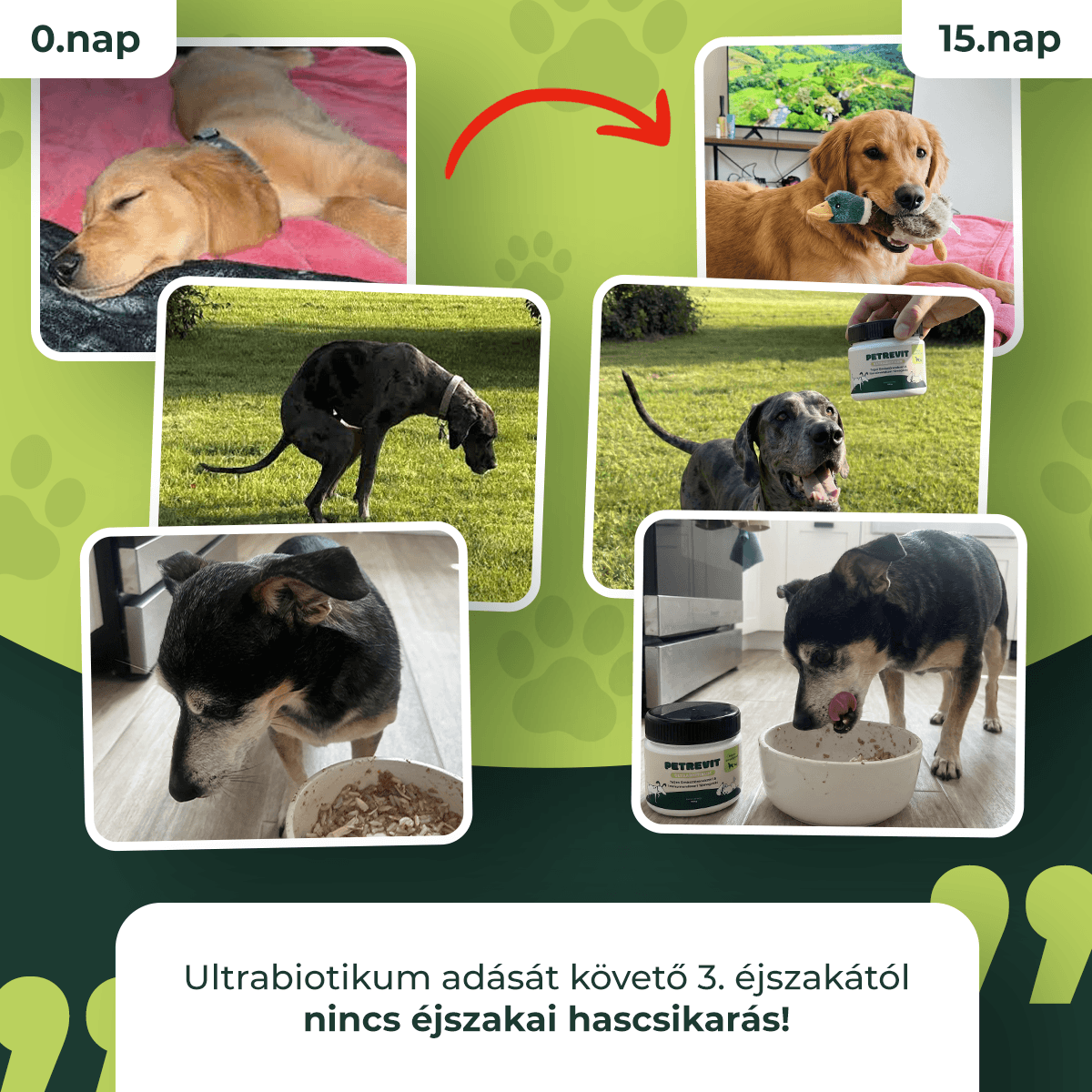 Ultrabiotikum