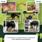 Ultrabiotikum