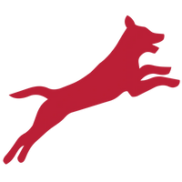 Ujra_felugrik_az_agyra_es_az_autoba.webp