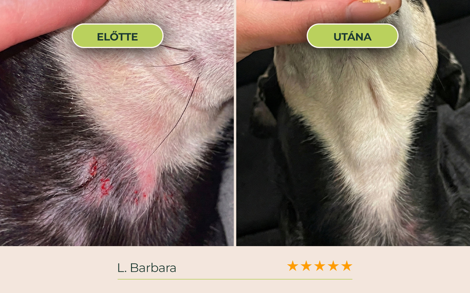 before_after_01.webp