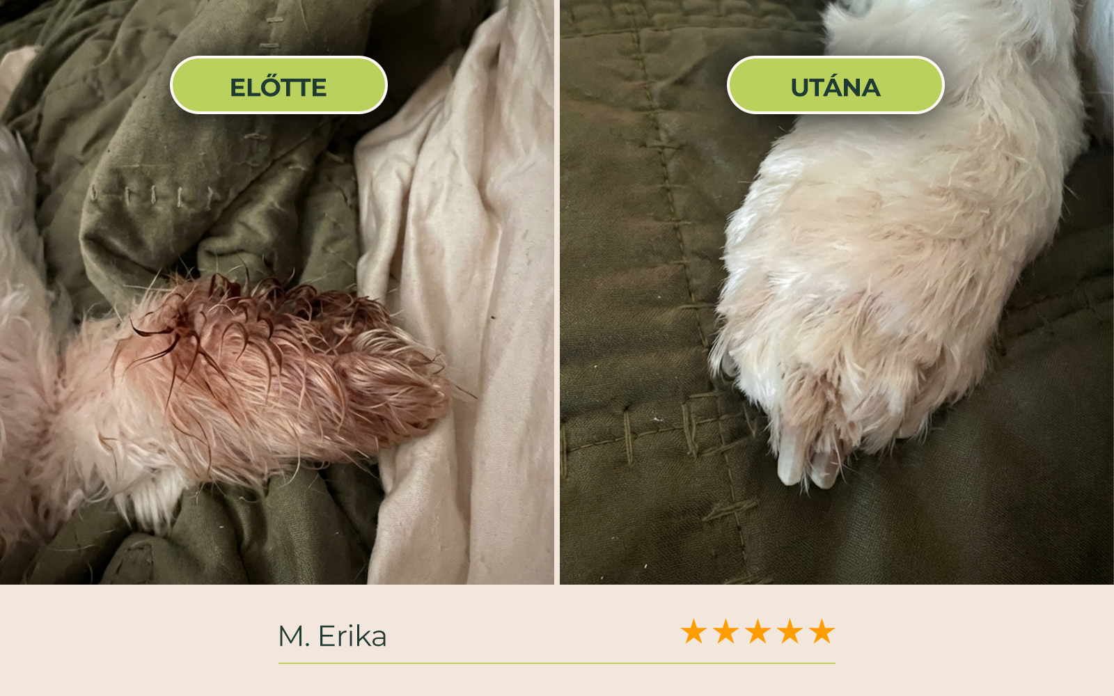 before_after_02.webp