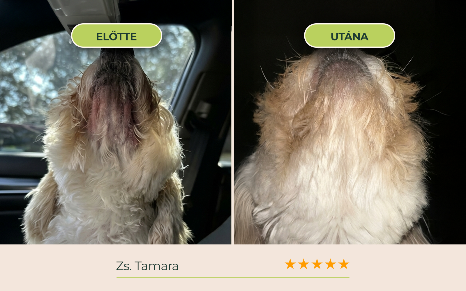 before_after_03.webp