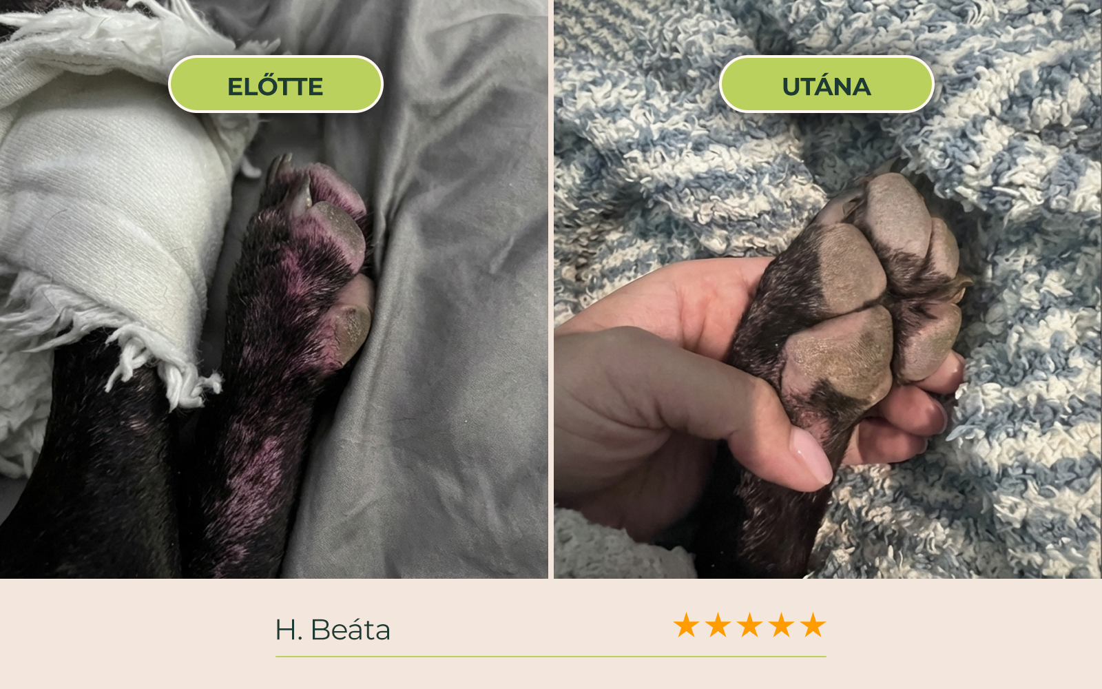 before_after_04.webp