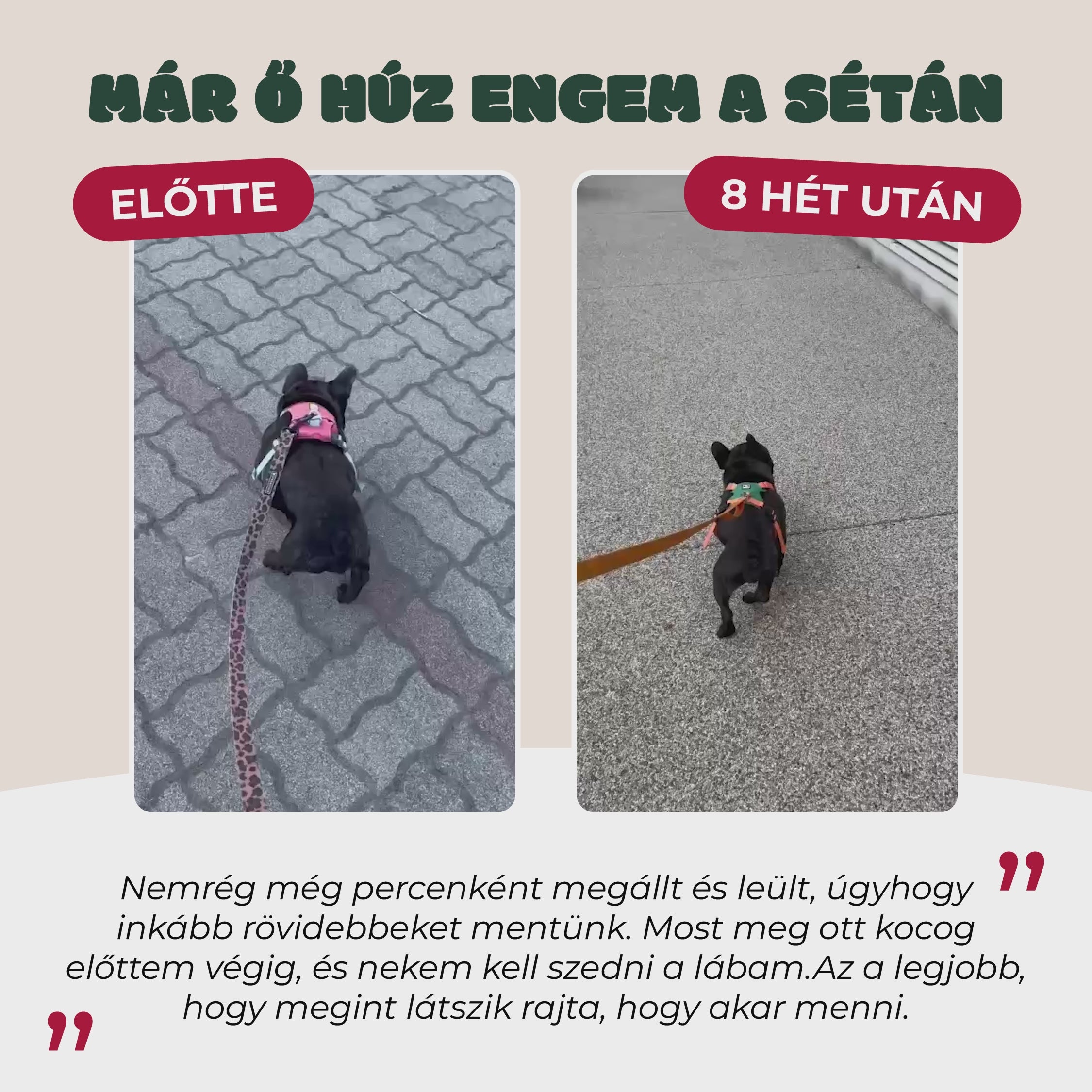 Mobility Pro